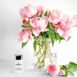 4 way hyalyronic serum